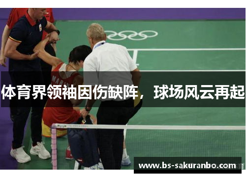 体育界领袖因伤缺阵，球场风云再起